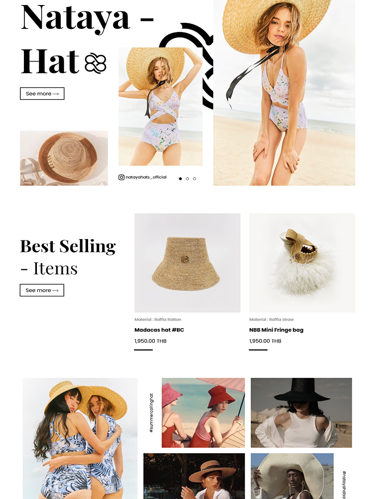 ตัวอย่างเว็บไซต์ 13